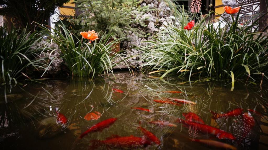 Lijiang Wangjia Courtyard Inn Dış mekan fotoğraf