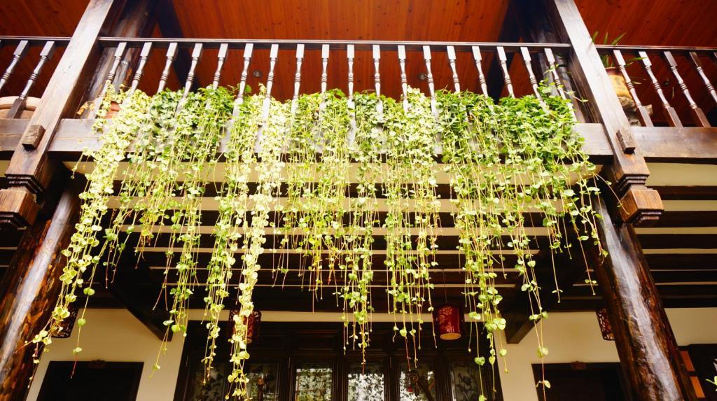 Lijiang Wangjia Courtyard Inn Dış mekan fotoğraf